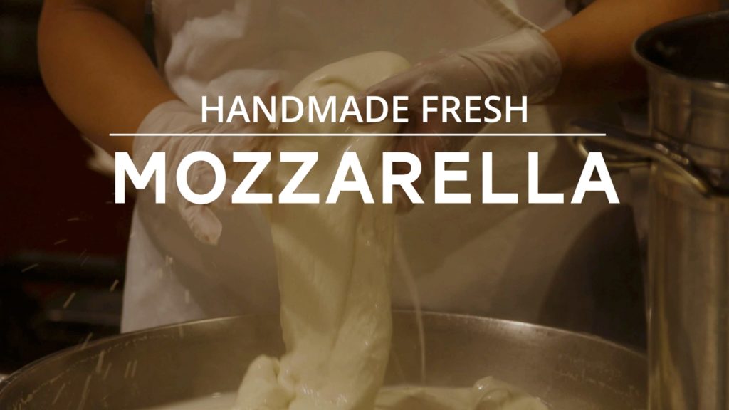 Department Title Cards for TV Mozzarella